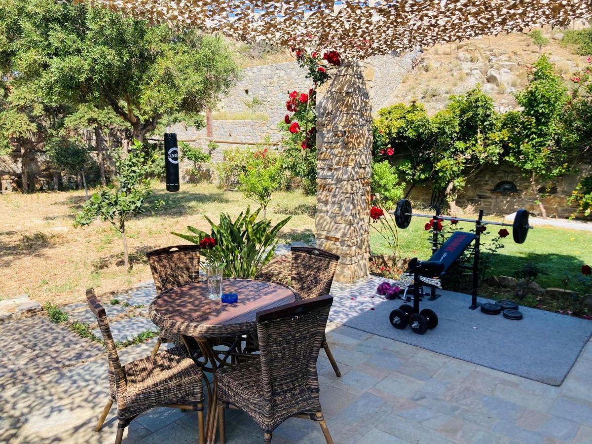 Ninemia Naxos Suites Agios Thaleleos Екстериор снимка